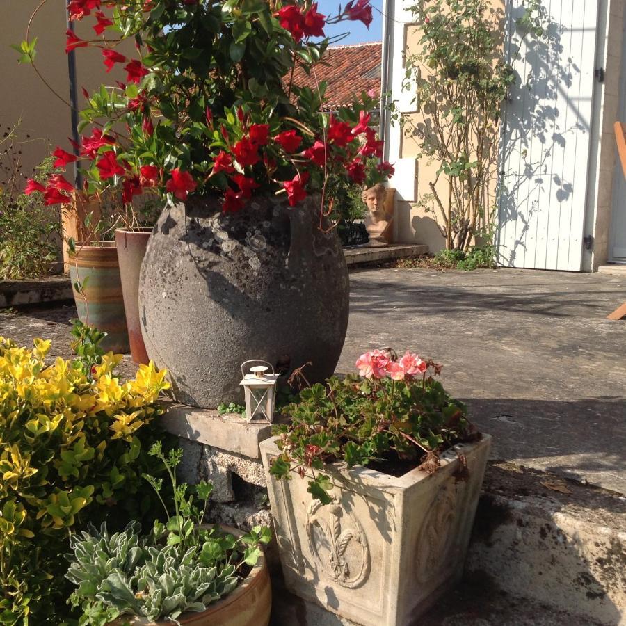 Saint-Germain-de-Confolens La Grange Terrou旅馆 外观 照片
